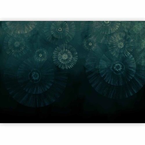 Pusteblumen natur vlies - pusteblumen,