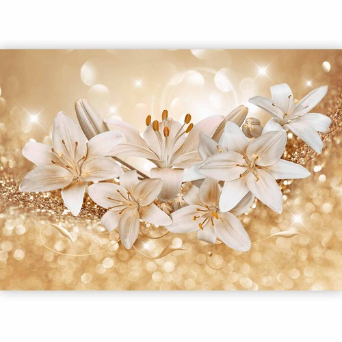 Blumen glanz bokeh lilien - glanz,