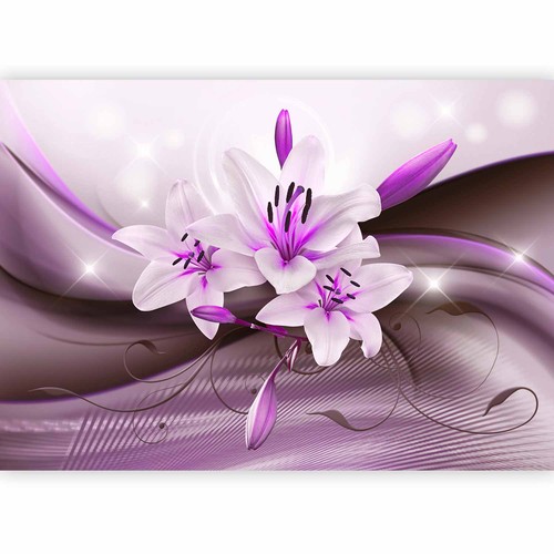 Lilien blumen glanz abstrakt - blumen,