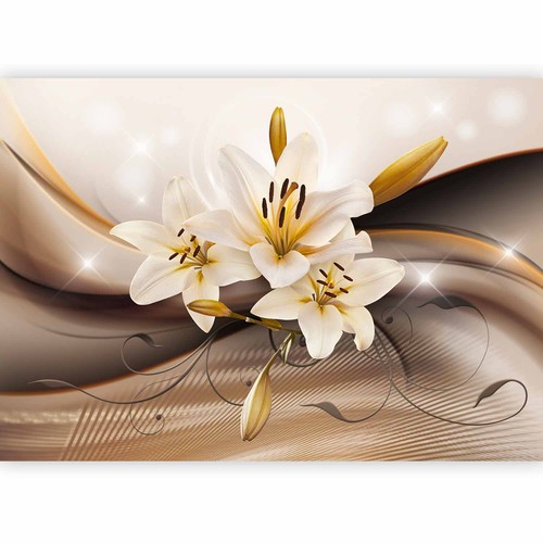 Lilien blumen glanz abstrakt - blumen,