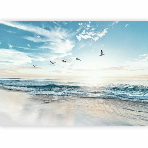 Strand meer landschaft vlies - meer,
