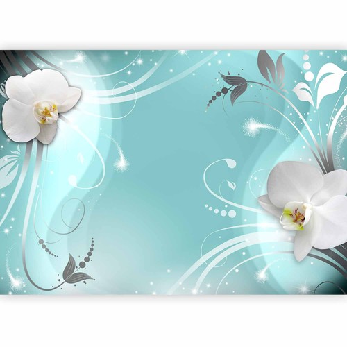 Orchidee blumen ornamente - orchidee,
