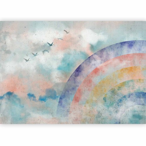 Regenbogen himmel vogel - regenbogen,