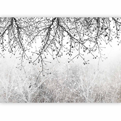 Baum äste natur vlies - baum,