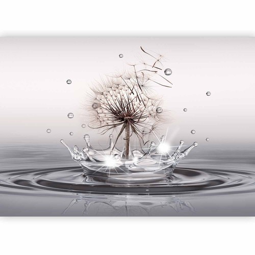 Pusteblume wassertropfen vlies - pusteblume,