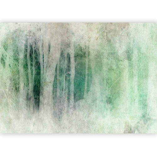 Vlies fototapete wald - wald, 3