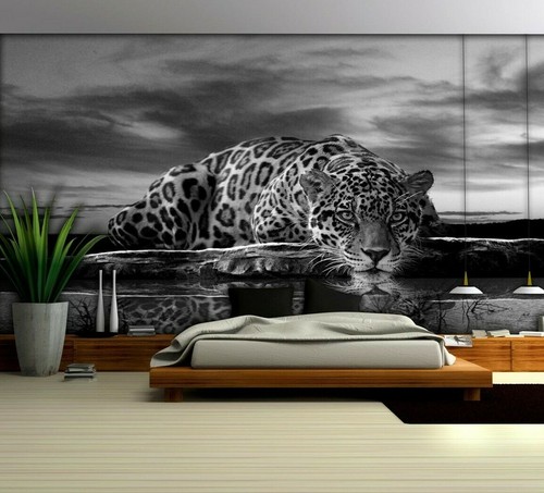 Gepard jaguar leopard - gepard,
